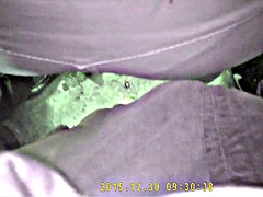 Enthousiasteling, Flashing, Masturbatie, Bekijker