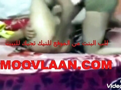 Solid Egyptian Hump Do Not Miss 2022