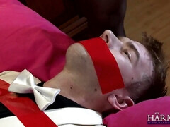 お尻, デカ尻, デカパイ, 巨乳な, フェムドム, ハードコア, 下着, 淫乱熟女