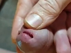 Pullerwichsi drills his cock