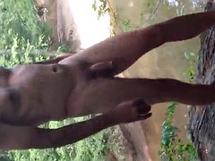 ゲイ