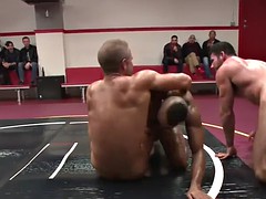 muscular jocks wrestling and fingering asses