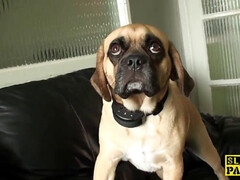 Británico, Cornudo, Hd, Lencería, Orgasmo, Realidad, Medias largas, Tatuaje