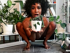 Arsch, Fingern, Behaart, Masturbation, Solo, Entkleiden, Jungendliche (18+), Netzkamera