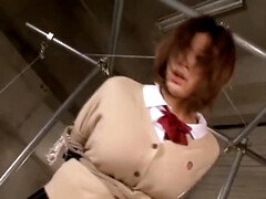 Cul, Bondage domination sadisme masochisme, Sucer une bite, Plantureuse, Classique, Mignonne, Japonaise, Naturelle