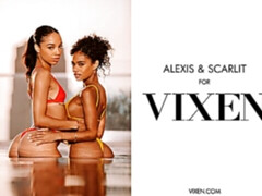 Минет, Собачьи, Черненькие, Две девушки, Ласковые ручки, Бритые, Молоденькие, Втроем