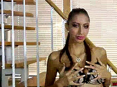 Tchèque, Rasée, Solo