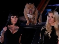 Большие сиськи, Брюнетки, В машине, Собачьи, Лесбиянка, Лизание, Мастурбация, Молоденькие