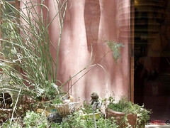 Dormitorio, Engañando, Estilo perrito, Latina, Al aire libre, Perforación, Tímido, Tatuaje