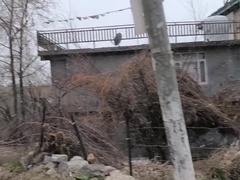 Азиатки, Толстушки, Большой член, Парочка, Член, Хд, Огромные размеры, Милф