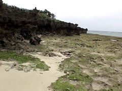 Pijpbeurt, Rondborstig, Sperma shot, Schattig, Diep in de keel, Hd, Natuurlijk, Buiten