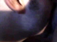 Mamada, Morena, Polla, Grupo, Sexo duro, Hd, Chupando