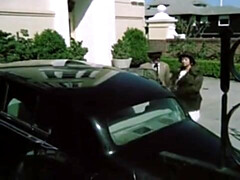 Брюнетки, Европейки, Волосатые, Оргии, Рыжие, Чулки, Сиськи, Винтаж