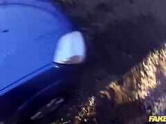 Enthousiasteling, Auto, Hondjeshouding, Kantoor, Buiten, Gezichtspunt, Kut duiken, Uniformpje