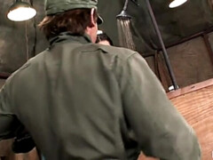 Bruinharig, Hardcore, Natuurlijk, Biljart