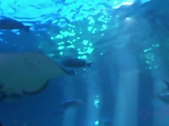 素人, ドレス, 毛深い, オーガズム, アウトドア, オマンコ, オッパイの, のぞき