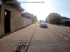 Bruinharig, Hondjeshouding, Europees, Hd, Realiteit, Ruw, Zoon, Zuigen