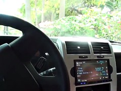 Hitchhiking beauty blows driver before fuck