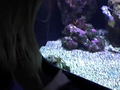 ブロンド, 顔射, フェティッシュ, 足フェチ, ハメ撮り, タトゥー, オッパイの, スカートのぞき