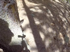 Anal, Culo, Rubia, Atrapados, Corrida, Garganta profunda, Realidad, Adolescente