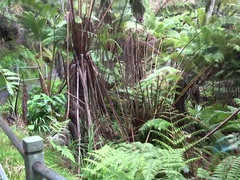 Любители, Черные, На природе, Киски, Тощие, Сквиртинг, Подглядывание, Влажная