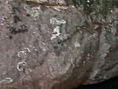 Beauté, Homosexuelle, Hard, Fille latino, Masturbation, De plein air