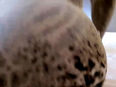 Enthousiasteling, Anaal, Grote lul, Bruinharig, Mollig, Arts, Moeder die ik wil neuken, Spuiten