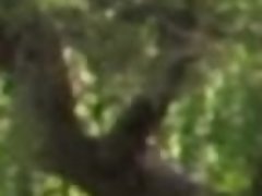 Amateur, Mamada, Estilo perrito, Pajear, Masturbación, Pov, Nalgadas, Chorro