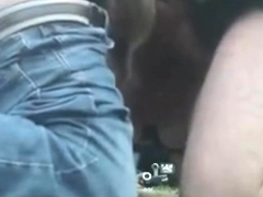 Amateur, Plage, Blonde, Sucer une bite, Bukkaké, Tir de sperme, En levrette, Partouze