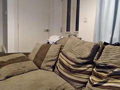 Enthousiasteling, Seksspeelgoed, Masturbatie, Moeder die ik wil neuken, Roodharige vrouw, Rijden, Alleen, Speelgoed