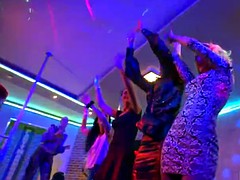 Leie, Europäisch, Gruppe