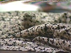 VHS Porn Scene 01