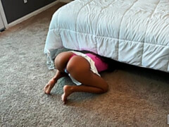 Жопа, Минет, Брюнетки, Ласковые ручки, Лизание, Киски, Молоденькие, Сиськи