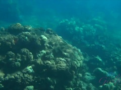 Любители, Жопа, Брюнетки, Подружка, Киски, Бритые, Сиськи