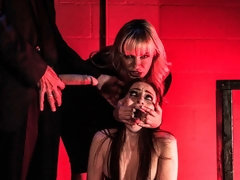 Kont, Pijpbeurt, Genootschap, Hondjeshouding, Handbeurt, Orgie, Feest, Voorbinddildo