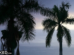In den arsch, Aus dem arsch in den mund, Blasen, Braunhaarige, Schwanz, Interrassisch, Muschi, Reiten