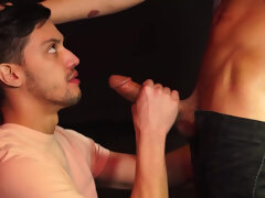 Gay