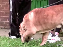 Большие сиськи, Минет, Пальцем, Ласковые ручки, Лизание, Милф, Мамочка, Тату