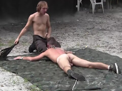 Homo