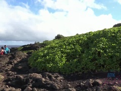 素人, ビーチ, 茶髪の, 指いじり, 彼女, キス, ハメ撮り, 喫煙