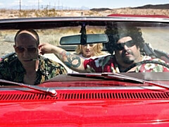 Большая жопа, Большой член, Большие сиськи, Блондинки, Минет, В машине, Собачьи, На природе