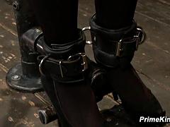 Садо мазо, Бондаж, Двойное проникновение, Женское доминирование, Затыкание рта, Секс без цензуры, Лесбиянка, Вибратор