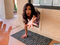 Cul, Gros cul, Sucer une bite, Brunette brune, Branlette thaïlandaise, Cuisine, Mère que j'aimerais baiser, Culottes ou slips