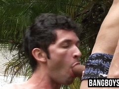 Большой член, Минет, Член, Геи, Секс без цензуры, Хд, Мастурбация, На природе