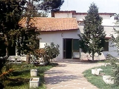 Grosser arsch, Grosse titten, Blondine, Blasen, Schwanz, Hardcore, Hd, Vintage