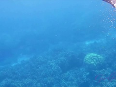 ビーチ, ブロンド, フェラチオ, 彼女, 手コキする, キッチン, ハメ撮り, オマンコ