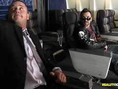 Anaal, Blond, Pijpbeurt, Bruinharig, Hondjeshouding, Handbeurt, Tepels, Geschoren