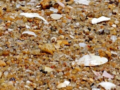 女, 露出狂, 毛深い, パンティ, ハメ撮り, 現実, スカート, スカートのぞき