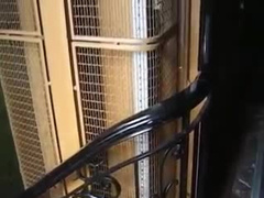 In den arsch, Französisch