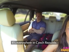 Zwart, Pijpbeurt, Auto, Hondjeshouding, Likken, Buiten, Gezichtspunt, Kut duiken